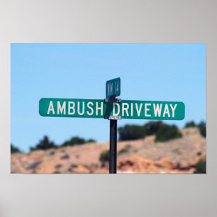 Ambush Driveway in New Mexico Poster