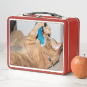 Ambusse auf den Angriff Metall Lunch Box (Beispiel)