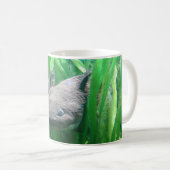 Ambystoma andersoni kaffeetasse (VorderseiteRechts)