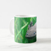 Ambystoma andersoni kaffeetasse (Vorderseite Links)