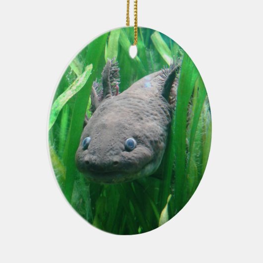 Ambystoma andersoni keramikornament (Rechts)