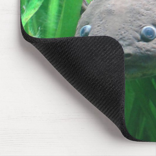 Ambystoma andersoni mousepad (Ecke)