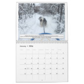 AMCA-Kalender 2024 Kalender (Jan 2026)