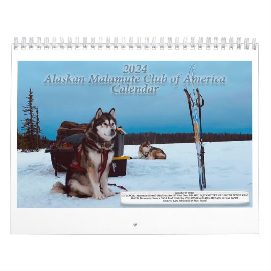 AMCA-Kalender 2024 Kalender (Titelbild)