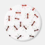 Ameise Antik. Magnet (Vorne)