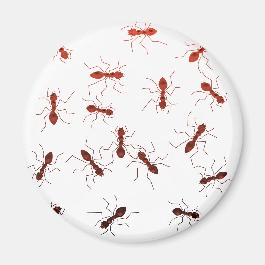 Ameise Antik. Magnet (Vorne)