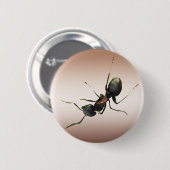 Ameise Button (Vorne & Hinten)