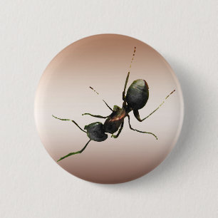 Ameise Button