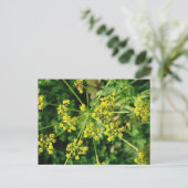 Ameise, Netz und Unkraut Postkarte (Stehend Vorderseite)