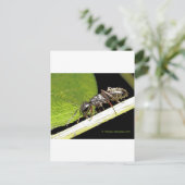 Ameise Postkarte (Stehend Vorderseite)