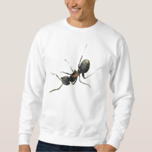 Ameise Sweatshirt