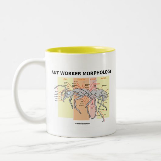 Ameisen-Arbeitskraft-Morphologie Zweifarbige Tasse (Links)