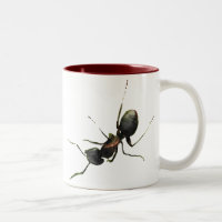 Ameisen auf meiner Tasse
