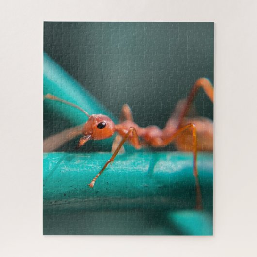 Ameisen Nah Puzzle (Vertikal)