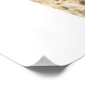 Ameisen. Poster (Ecke)