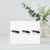 Ameisen Postkarte (Stehend Vorderseite)