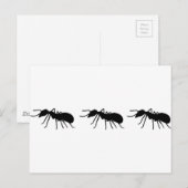 Ameisen Postkarte (Vorne/Hinten)