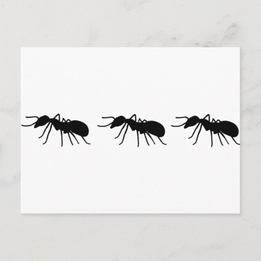 Ameisen Postkarte (Vorderseite)