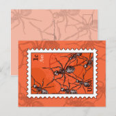 Ameisen Postkarte (Vorne/Hinten)