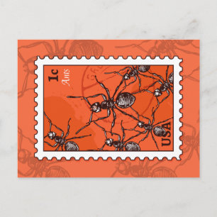 Ameisen Postkarte