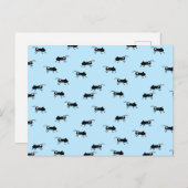 Ameisen Postkarte (Vorne/Hinten)