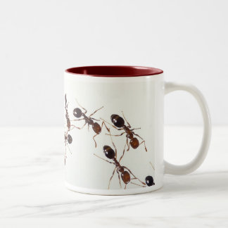 Ameisen-Tasse Zweifarbige Tasse