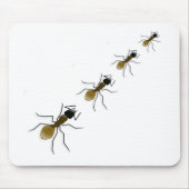 Ameisen-Weg Mousepad (Vorne)