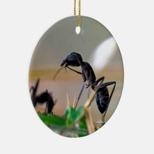 Ameisenfresser Keramikornament (Rechts)