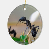 Ameisenfresser Keramikornament (Links)