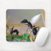 Ameisenfresser Mousepad (Mit Mouse)