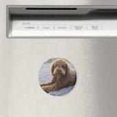 Ameisenmarron Magnet (In Situ (Geschirrspüler))