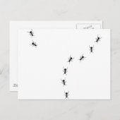Ameisenspur Postkarte (Vorne/Hinten)