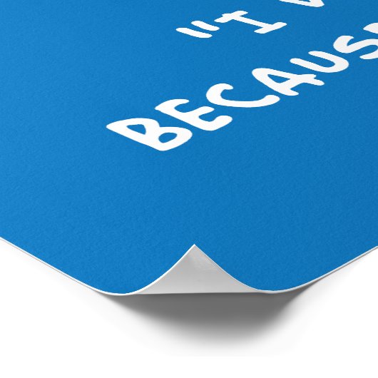 Amelia Earhart Poster (Ecke)