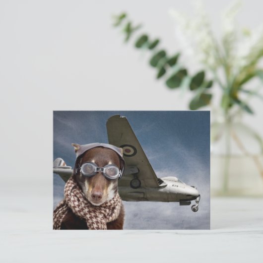 Amelia Earhart Postkarte (Stehend Vorderseite)