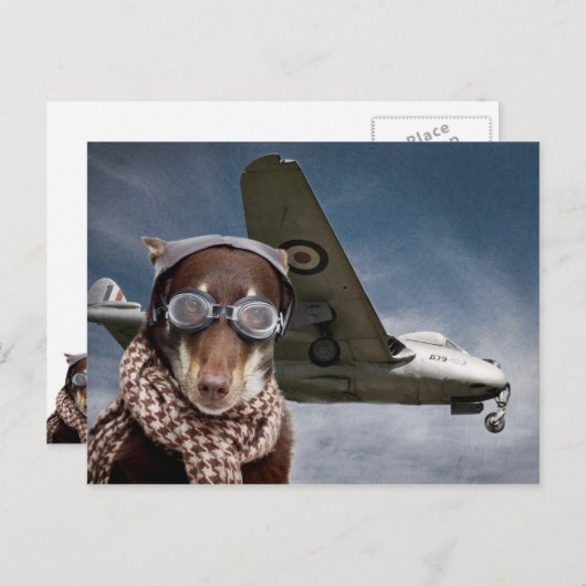 Amelia Earhart Postkarte (Vorne/Hinten)