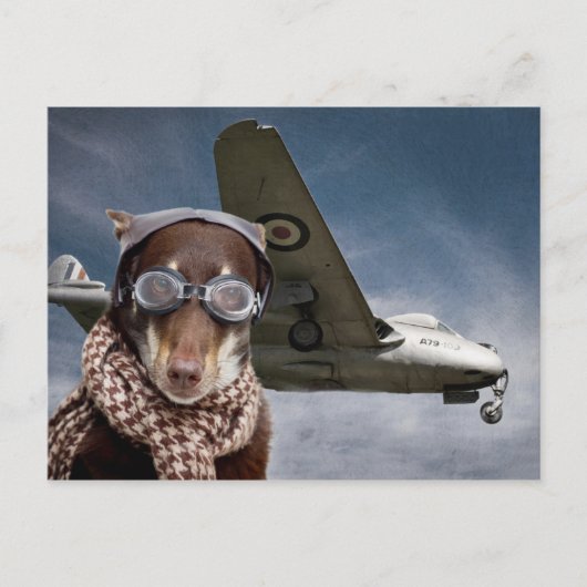 Amelia Earhart Postkarte (Vorderseite)