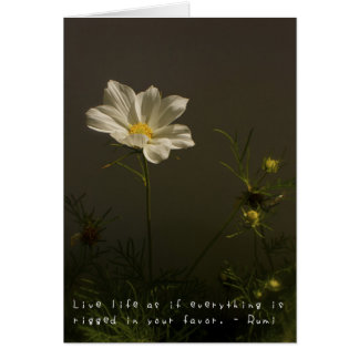 Amelia fantastische Abenteuer