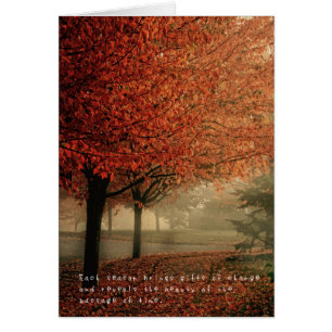 Amelia fantastische Abenteuer