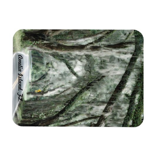 Amelia Island, FL-Magnet Magnet (Horizontal)