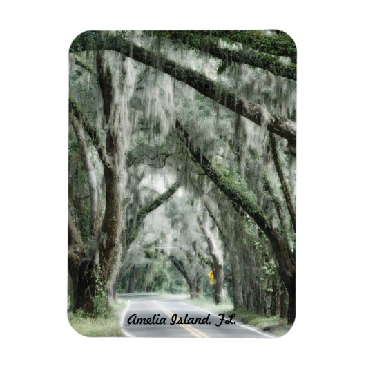Amelia Island, FL-Magnet Magnet (Vertikal)