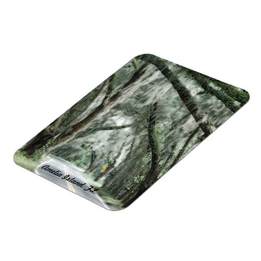 Amelia Island, FL-Magnet Magnet (Linke Seite)