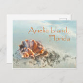 Amelia Island, FL Seashell Postcard Postkarte (Vorne/Hinten)