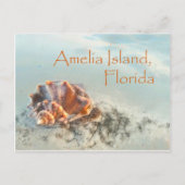 Amelia Island, FL Seashell Postcard Postkarte (Vorderseite)