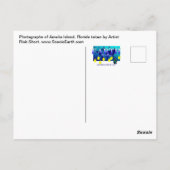 Amelia Island Florida Seascape Postcard Foto Postkarte (Rückseite)