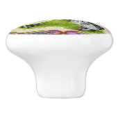 Ameraucana-Familie Gerahmt Keramikknauf (Seitenansicht)