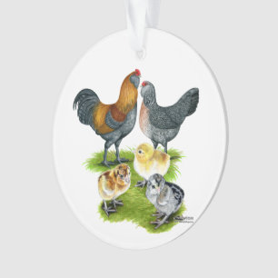 Ameraucana Huhn-Familie Ornament