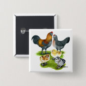 Ameraucana-Hühnerfamilie Button (Vorne & Hinten)