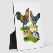 Ameraucana-Hühnerfamilie Fotoplatte (Seite)