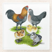 Ameraucana-Hühnerfamilie Glasuntersetzer (Vorderseite)