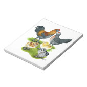 Ameraucana-Hühnerfamilie Notizblock (Rotiert)